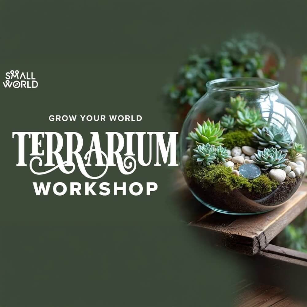DIY Terrarium Workshop