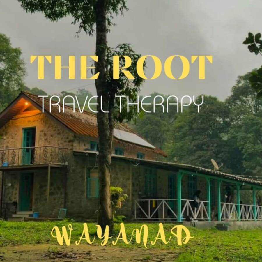 The Root - Travel Therapy - Wayanad